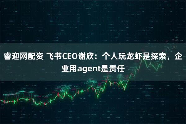 睿迎网配资 飞书CEO谢欣：个人玩龙虾是探索，企业用agent是责任